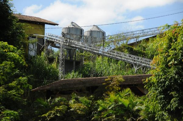 Transporte externo dos ovos, por meio de esteiras