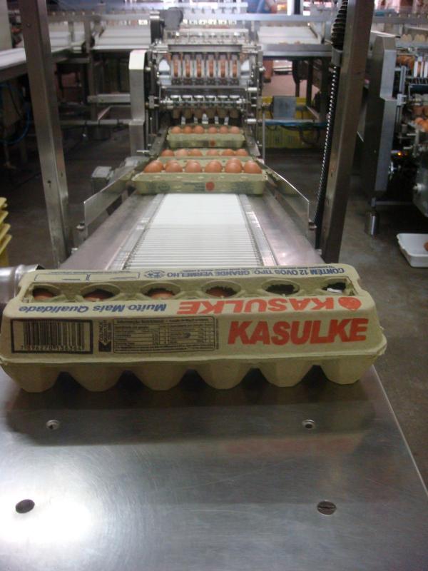 Caixa de dzia de ovos saindo do equipamento de triagem e acondicionamento 