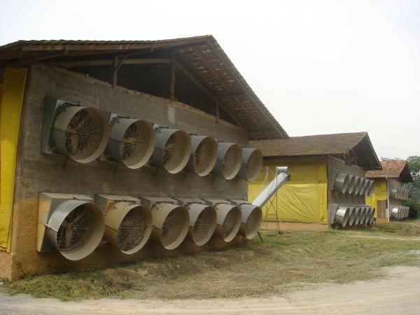 Exaustores utilizados para a climatizao do avirio